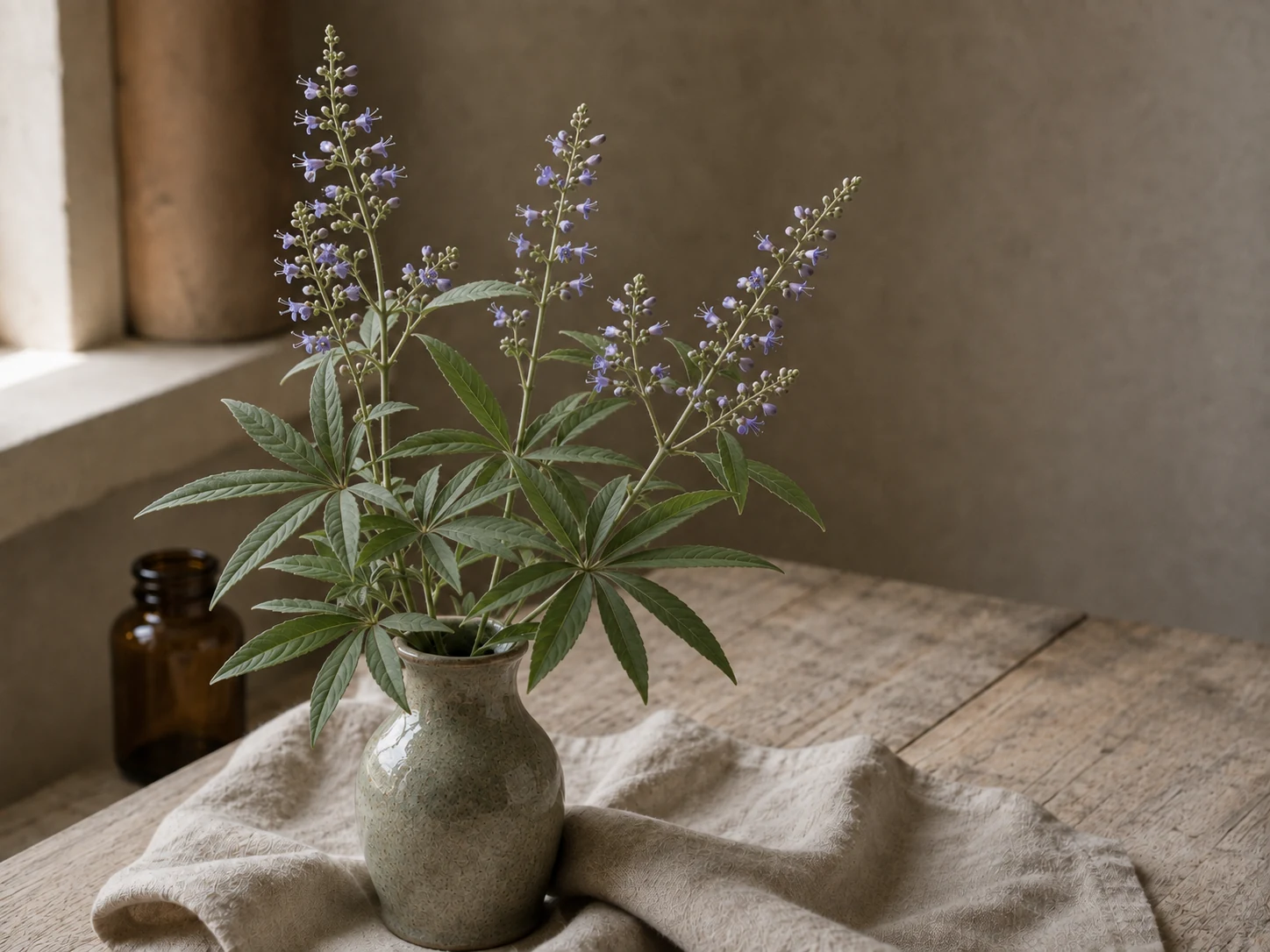 Munkpeppar med handlika grågröna blad och små lavendelblå blommor i en keramikvas, i varmt fönsterljus.