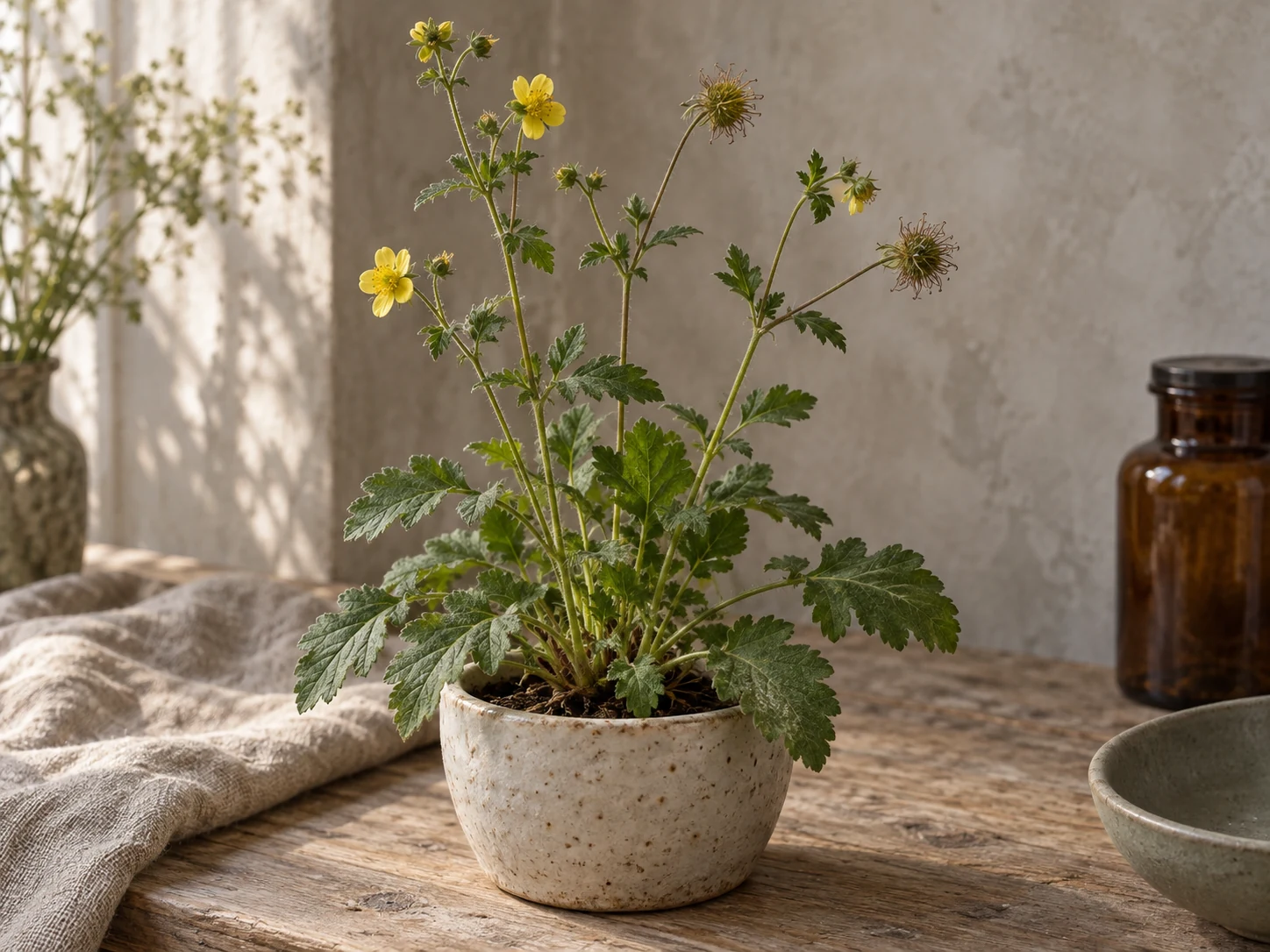 AI-genererad illustration av Nejlikrot (Geum urbanum L.) i Växttraditions bildmiljö.