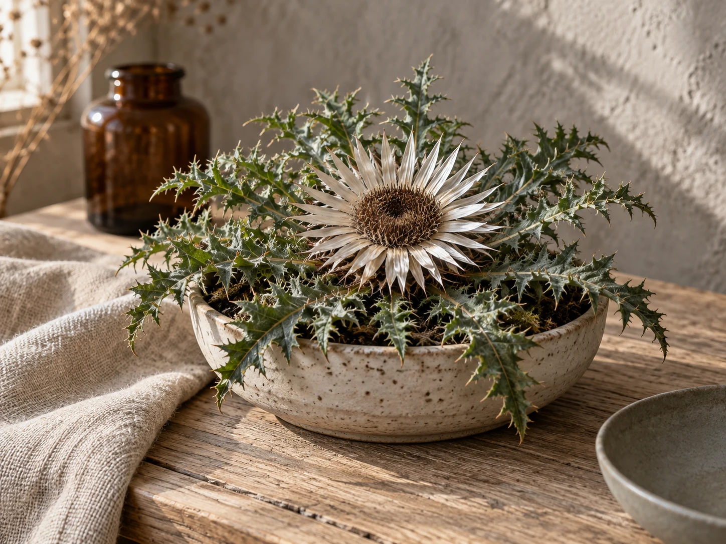 AI-genererad illustration av Silvertistel (Carlina acaulis L.) i Växttraditions bildmiljö.