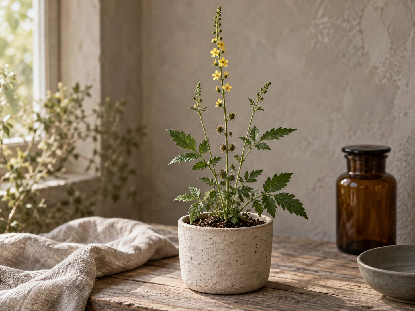 AI-genererad illustration av Småborre (Agrimonia eupatoria L.) i Växttraditions bildmiljö.