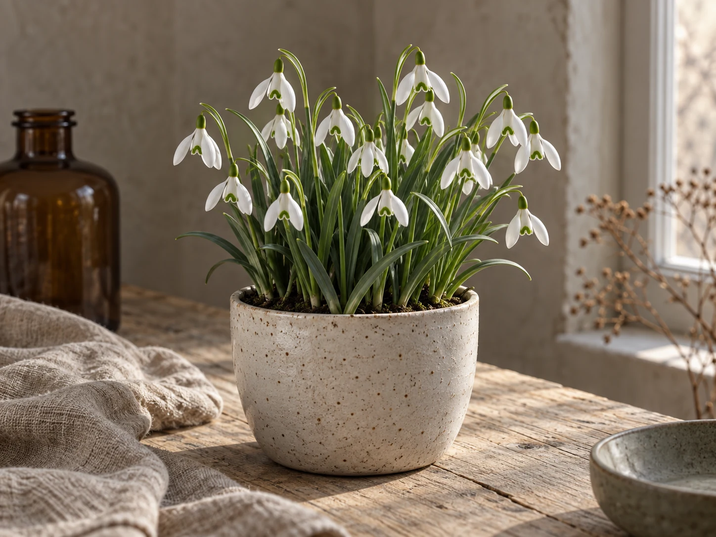 AI-genererad illustration av Snödroppe (Galanthus nivalis L.) i Växttraditions bildmiljö.