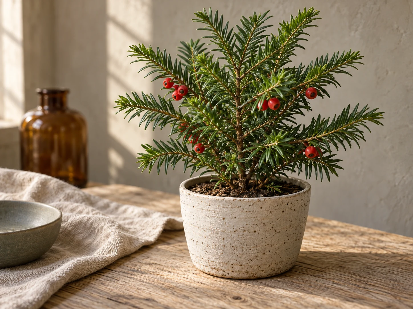 AI-genererad illustration av Stillahavsidegran (Taxus brevifolia Nutt.) i Växttraditions bildmiljö.