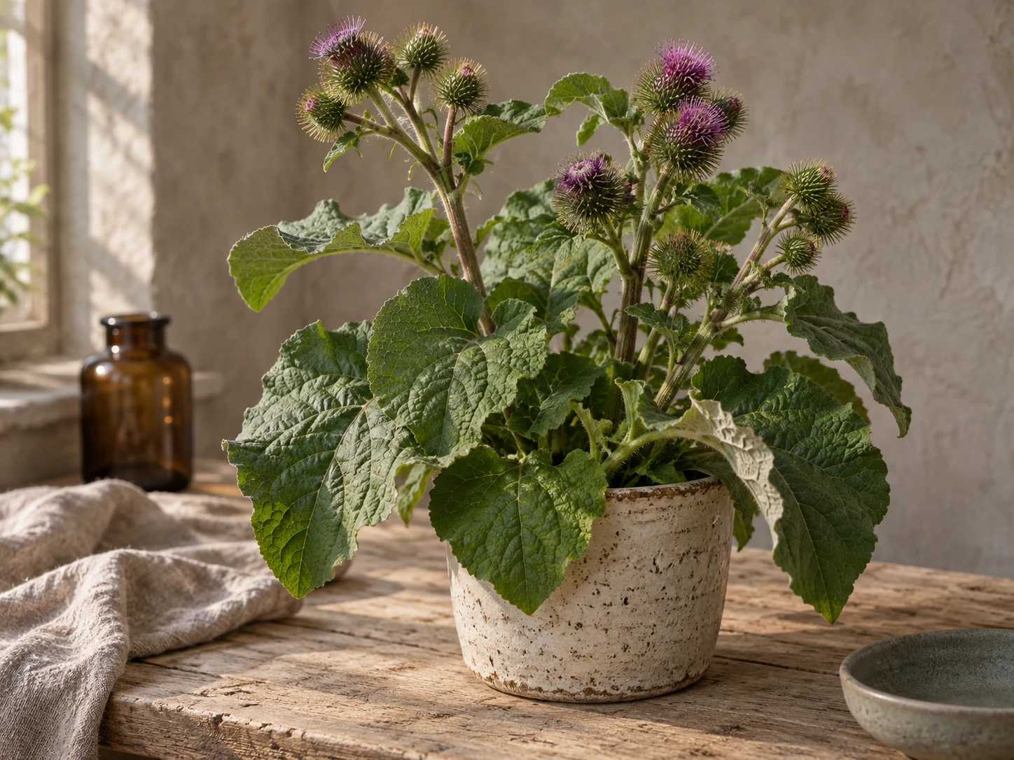 AI-genererad illustration av Stor Kardborre (Arctium lappa L.) i Växttraditions bildmiljö.