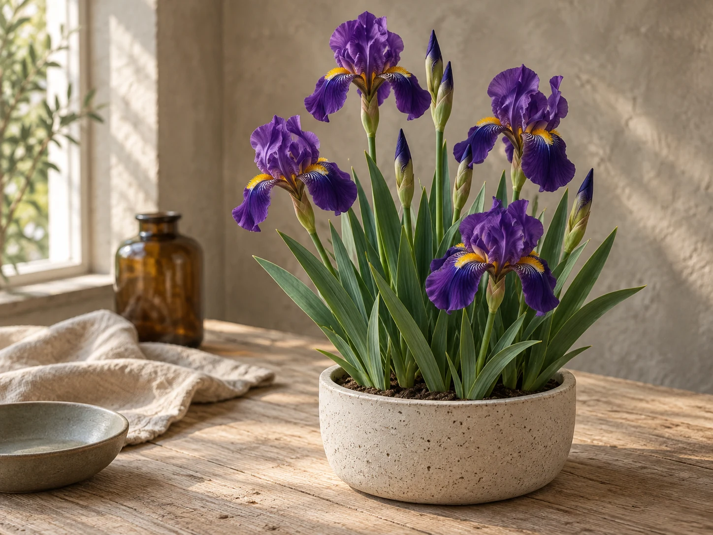 AI-genererad illustration av Tyskiris (Iris × germanica L.) i Växttraditions bildmiljö.