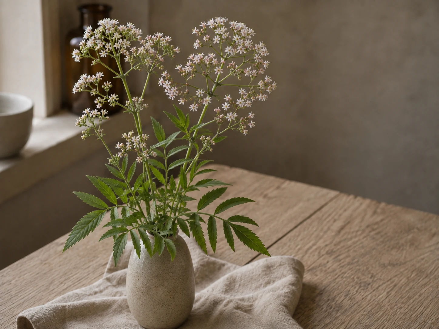 Vänderot med parbladiga gröna blad och små ljusa blomklasar i en keramikvas på linne och trä, i mjukt fönsterljus.